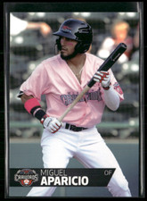 Miguel Aparicio 2018 Hickory Crawdads 2nd Second Half Team Set