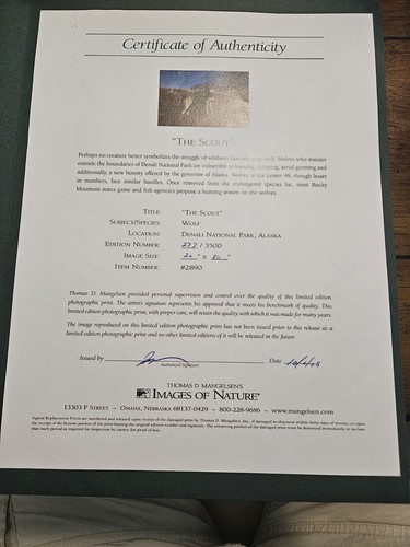 Thomas Mangelsen "The Scout" #2890 L/E Print 277/3500 - Picture 5 of 5