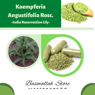 POWDER India Resurrection Lily Ciok Yek San Nai KunciPepetKaempferiaAngustifolia