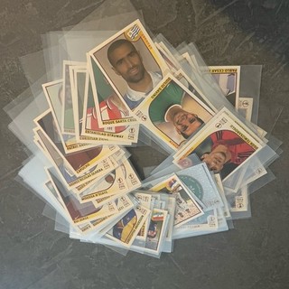 Panini WM 2002 | 98 verschiedene Sticker ungeklebt