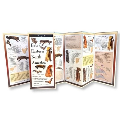 Bats of Eastern North America by Fiona A. Reid