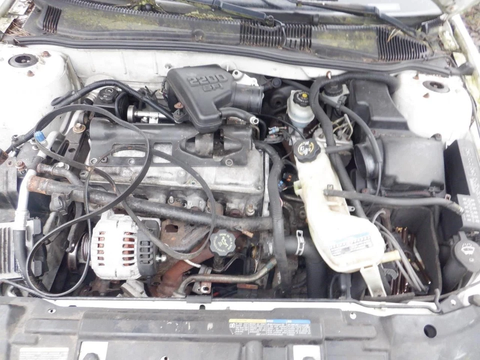 Trunk/Hatch/Tailgate With Spoiler Base Fits 00-02 CAVALIER 27169206 - Image 2 of 4