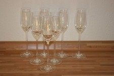 7 Champagne Glasses Champagne Glasses [10]