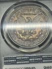 1904 P Morgan Dollar PCGS XF45 Toned Unique Circulated Toning Slightly Hard Date