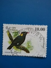 Sri Lanka, SHRI LANKA, MiNr 1036 sellado, pájaros 1993, Gracula ptilogenys estrella