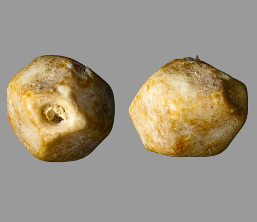 Ancient Near Eastern / Roman Period Honey Calcite (Aragonite) Bicone Bead 100BC