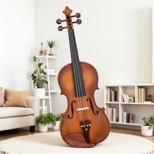 4/4 Solid Spruce Top Acoustic Beginner Violin Set - Shoulder Rest, Tuner  Matte