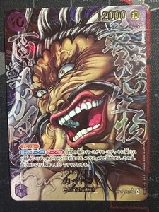 TCG hello.store_japan | eBay Stores