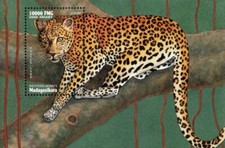 Madagascar 1999 - Leopards Animals - Souvenir Stamp Sheet - Scott #1414