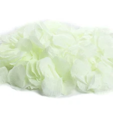 Factory Direct Craft Bulk Bag of Approximately 1800 Key Lime Green Roses
