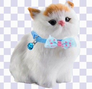 kitten bow tie