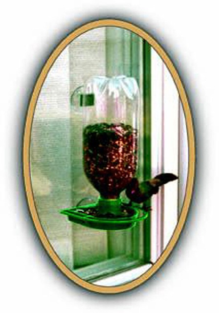 Gadjit Wp16137 Window Bird Feeder Green For Sale Online Ebay