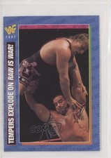 1996-98 WWF Magazine Cards Owen Hart Davey Boy Smith #101 0w8f