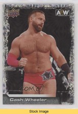2022 Upper Deck AEW All Elite Wrestling Pyro Dash Wilder Cash Wheeler READ 0xa