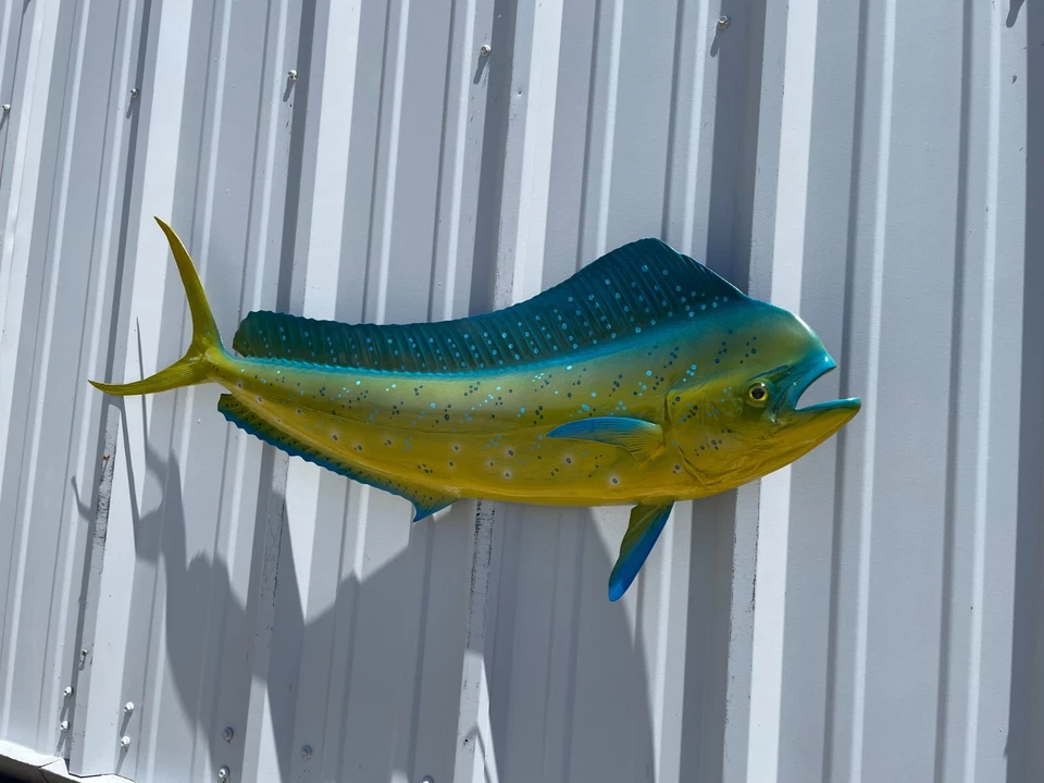 Réplica de peixe 42" Bull Dolphin Half Mount (Mahi/Dorado) - Produção rápida - Imagem 3 de 4