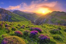 FLEECE Photo Wallpaper-MOUNTAIN-(6775ah)-Nature Alps Alpine Alpine Peak Meadow XXL Wall Art