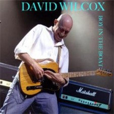 Image of David Wilcox Boy in the Boat (CD) Album (US IMPORT)