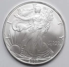 2007 American Silver Eagle  US Mint Walking Liberty Coin 1oz .999 fine