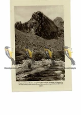 Cogman's Kloof, Near Montagu, South Africa, Book Illustration, c1920