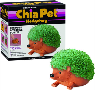 Pet Hedgehog Decorative Pottery Planter with Seed Pack, Decorative Pottery Plant