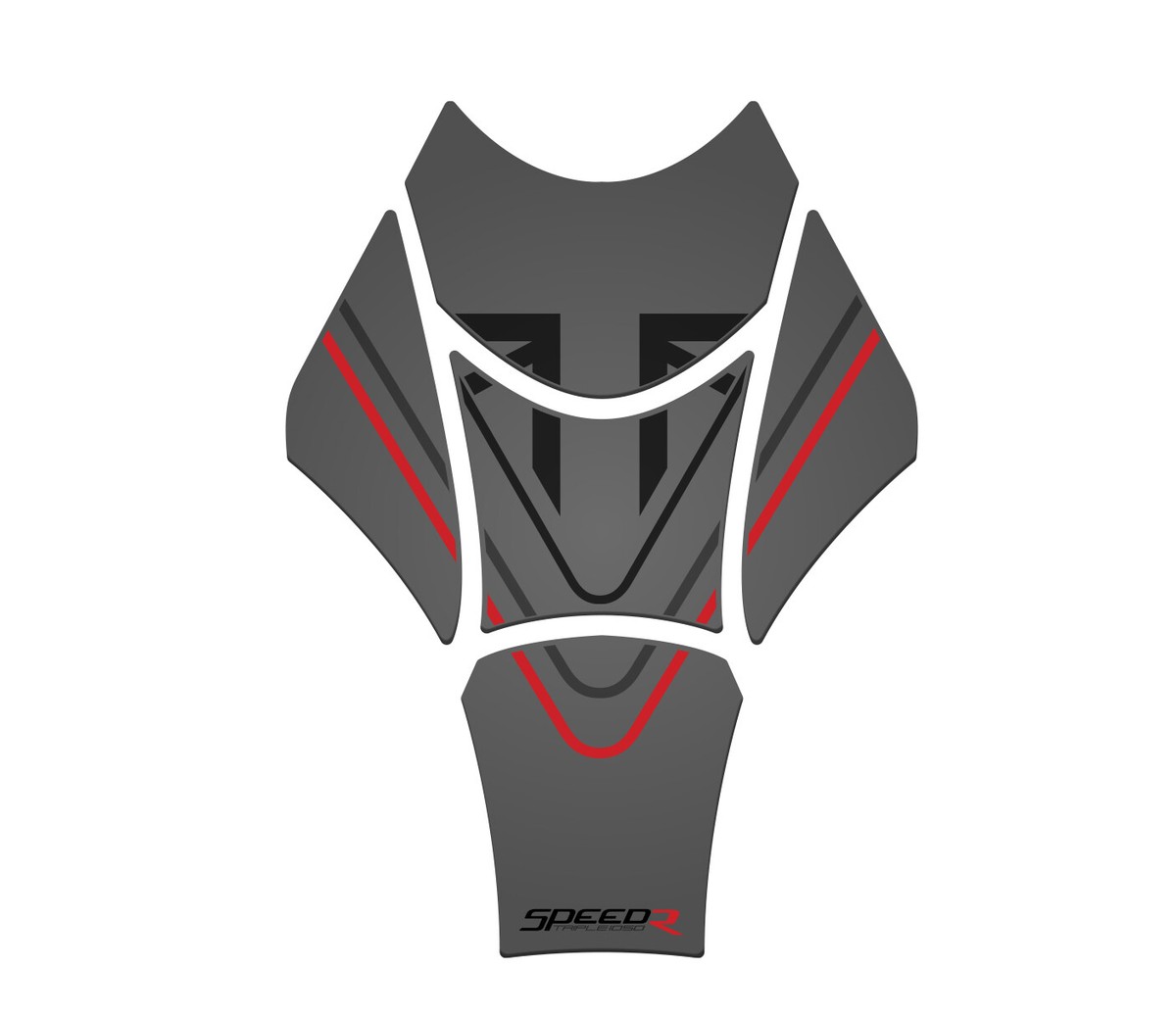 Support De Plaque Triumph Speed Triple 1050 2016-2019 / Zieger