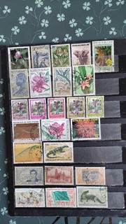25 TIMBRES DE COTE D IVOIRE LOT 05072026 FRA 1000