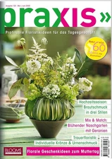 Team PRAXIS BLO PRAXIS Nr. 123: Profitable Floristikidee (Broschüre) (UK IMPORT)