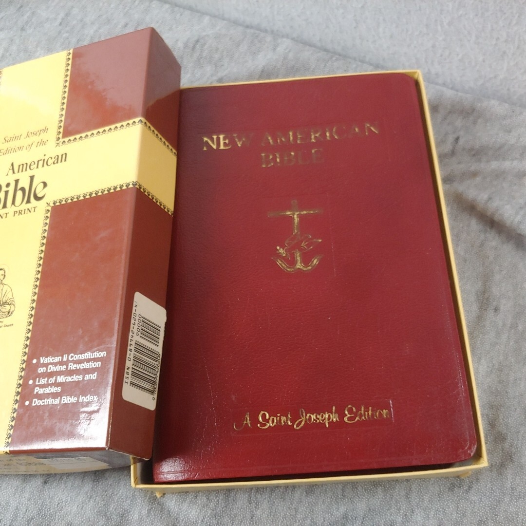 Saint Joseph Edition New American Bible Illustrated Giant Print