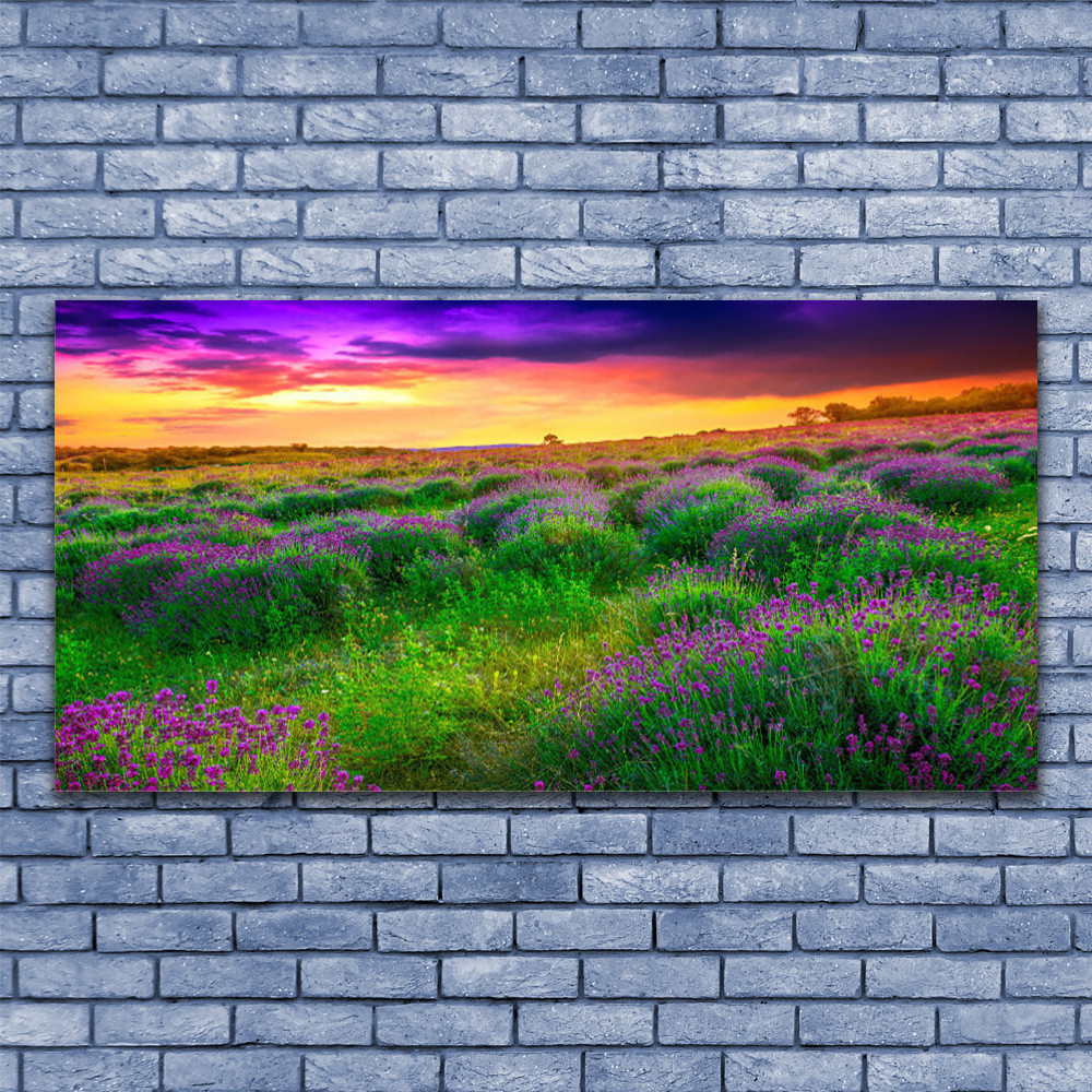 Tableau en verre prairie 140x70 cm pour illuminer un salon sombre