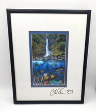 Christian Riese Lassen Eternal Rainbow Sea Matted Framed SIGNED