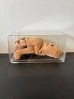 RARE Vintage Retired 1993 TY Beanie Baby Humphrey The Camel