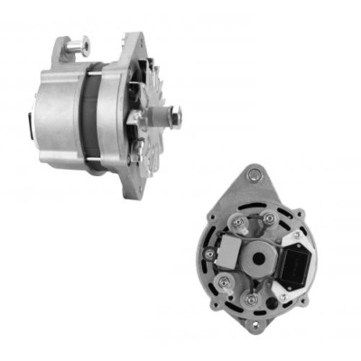 Lichtmaschine für Nanni NK 4.220HE N3.30 4.150HE... AAK4937 AAK4319 48201109