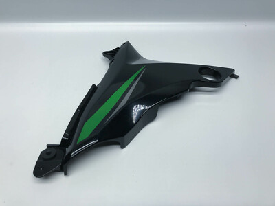 Kawasaki Z800 Rechts Rahmen Verkleidung Abdeckung Right Frame Fairing (2) 16'