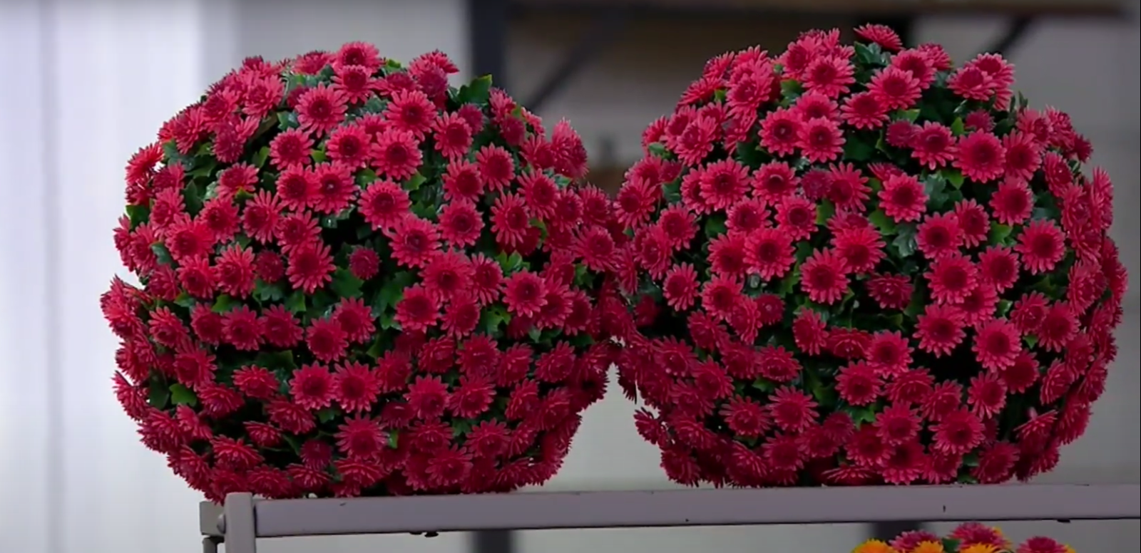 Wicker Park Set of (2) 10" Faux Mum Indoor/Outdoor Garden Spheres