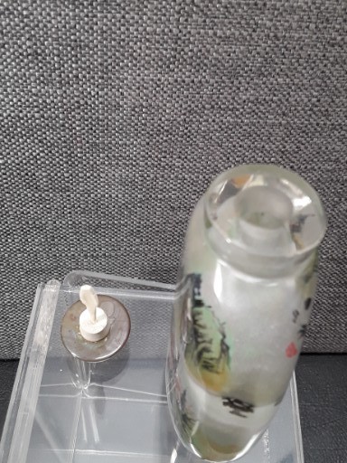 Antique Chinese Snuff Bottle WithFall  Painting 