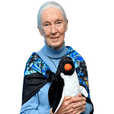 Jane Goodall (Penguin) Half Body Buddy Cutout