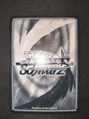 Hoshimachi Suisei Schwarz hololive Summer Collection HOL
