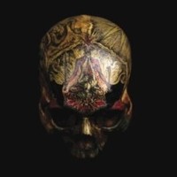 Blight - Temple Of Wounds - Vinyl Record - G1398Z