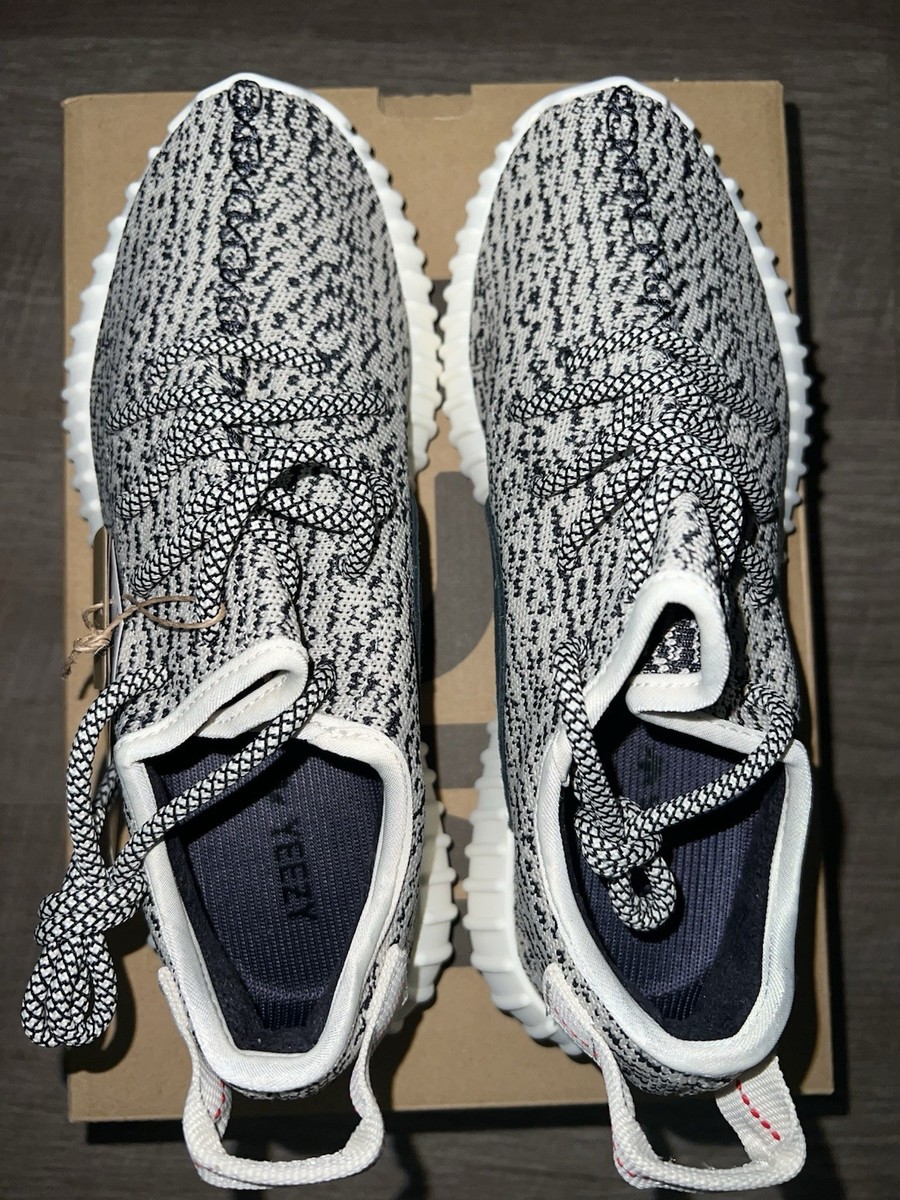 turtle dove v2