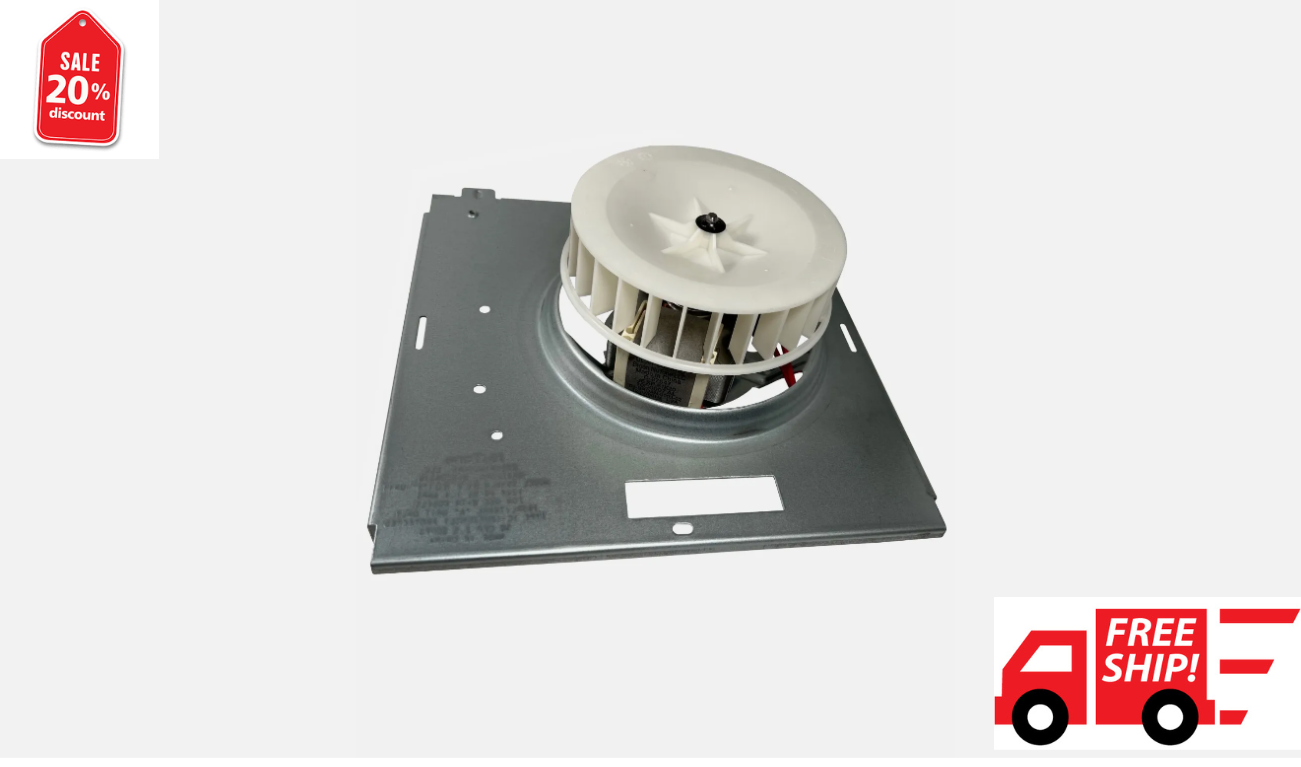 Motor Assembly for Models 769RL, 769RL-R01, 769RFT-R01S0504B000