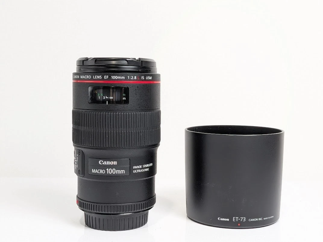 Canon EF f/2.8 100mm Focal Macro/Close Up Lenses for sale | eBay