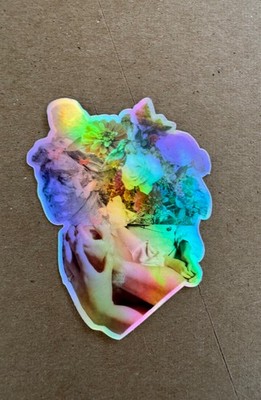 Soft Aesthetic Holographic Collage Sticker, waterproof and high quality.