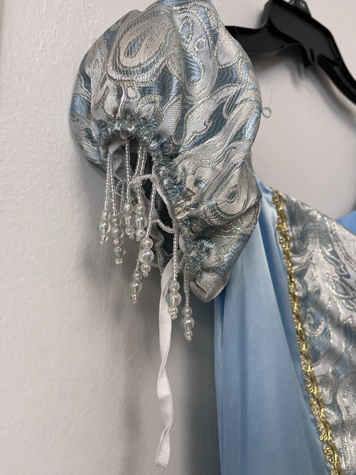 灰姑娘公主剧院皇家礼服服装迪士尼角色 — 第 3/4 张图片