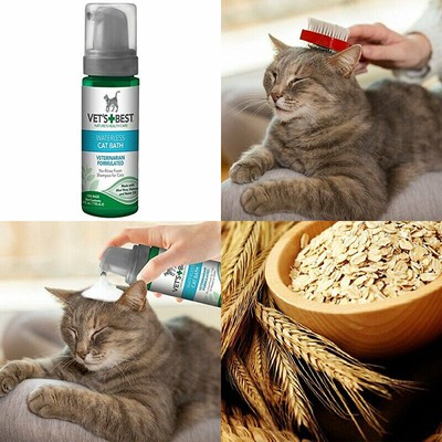 no rinse cat shampoo