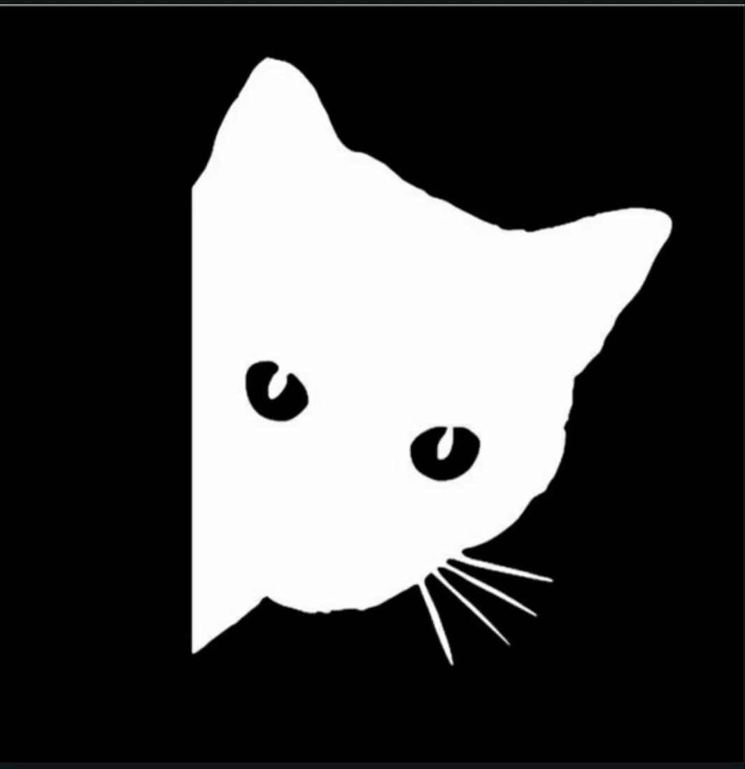 2x Peeking Cat Vinyl Decal Original From 2018 Cat Sticker 