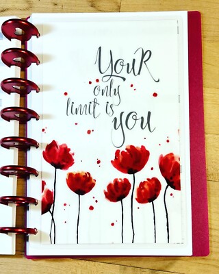 Your Only Limit is You DASHBOARD 4 use w/ the TUL/Arc (8 disc) Planner~