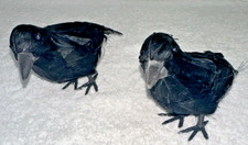 2PC Halloween Crow Prop Realistic Raven Feathered Spooky Party Home Store Decor