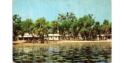 Florida's Hernando Citrus County: 1953 Sutton's Lodge Fishing Camp View