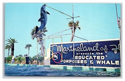 Trained Porpoise High Jump Marineland Florida FL UNP Chrome Postcard XB5
