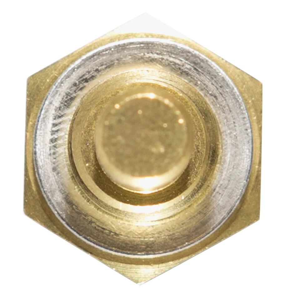 Sensor de temperatura del refrigerante del motor Delphi TS10253 Foto 4 de 4